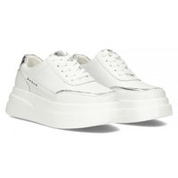 Leather Sneakers Filippo DP4556/23 WH white