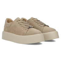 Leather sneakers Filippo DP6119/24 TP taupe